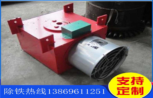 風(fēng)冷電磁除鐵器,上海風(fēng)冷電磁除鐵器原理_上海風(fēng)冷電磁除鐵器原理工作原理_價格 風(fēng)冷電磁除鐵器,上海風(fēng)冷電磁除鐵器原理_上海風(fēng)冷電磁除鐵器原理工作原理_價格